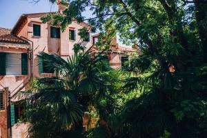 palma przed budynkiem w obiekcie Guggenheim Luxury Suites By Bricola Apartments w Wenecji