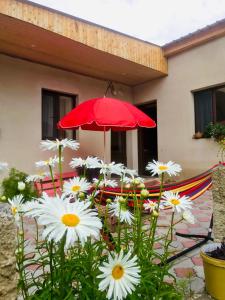 Taman di luar Guesthouse and Cottage Nicolo
