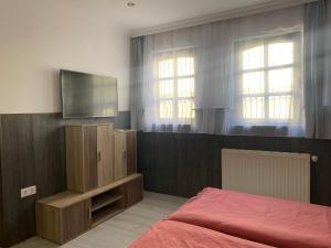 TV a/nebo společenská místnost v ubytování Holiday Apartmanház