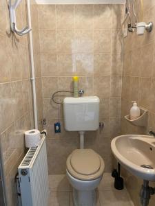 Koupelna v ubytování Holiday Apartmanház