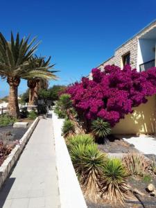 a garden with purple flowers on the side of a building at Maravilla Bungalows in El Cotillo