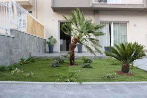 twee palmbomen in een tuin voor een gebouw bij Casa Salemi - Western Sicily Home in Salemi