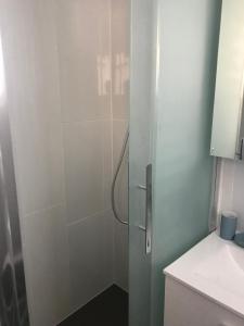 eine Dusche mit Glastür im Bad in der Unterkunft Studio plage in Canet-en-Roussillon