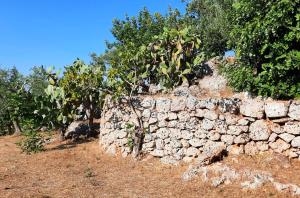 Fotografia z galérie ubytovania I Due Carrubi v destinácii Ostuni