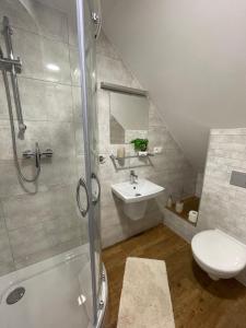 a bathroom with a shower and a sink and a toilet at Penzión U dvoch levov in Oravský Podzámok