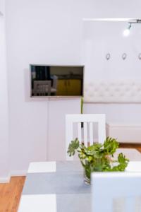 una mesa de comedor con una planta en EUNICE apartament, en Oradea