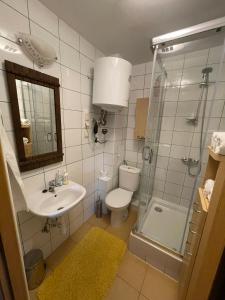 uma casa de banho com um WC, um lavatório e um chuveiro em Janówka em Lomza