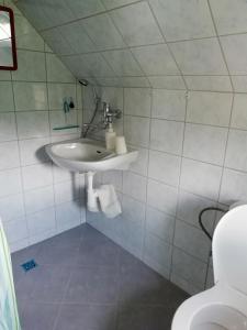 y baño con lavabo y aseo. en Penzion Pochop, en Benecko