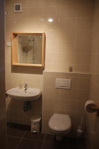 a bathroom with a sink and a toilet and a mirror at Apartment MT Čezsoča in Bovec