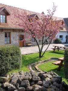 un arbre avec des fleurs roses dans une cour avec un banc dans l'établissement Auberge du Blaisel, à Wirwignes