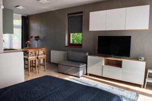 Televízia a/alebo spoločenská miestnosť v ubytovaní Vénusz Stúdió Apartman