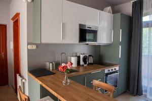 Kuchyňa alebo kuchynka v ubytovaní Vénusz Stúdió Apartman