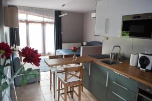 Kuchyňa alebo kuchynka v ubytovaní Vénusz Stúdió Apartman