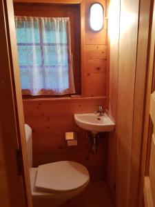 La petite salle de bains est pourvue de toilettes et d'un lavabo. dans l'établissement Appartement - dans le chalet Carmazin, à Morgins