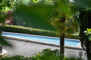 uma piscina num quintal com uma palmeira em Le Chalet des Pyrénées em Arcizans-Avant