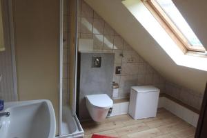 uma casa de banho com um chuveiro, um WC e um lavatório. em Bergblick em Medebach