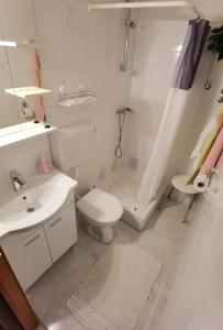 Koupelna v ubytování Apartman Kampor