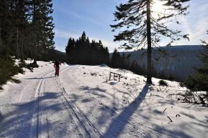 Afbeelding uit fotogalerij van Kunstpark Reinhardsbrunn in Friedrichroda