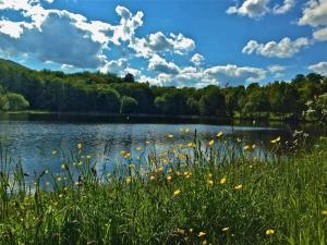 Afbeelding uit fotogalerij van Kunstpark Reinhardsbrunn in Friedrichroda
