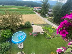 una vista aérea de un jardín con un frisbee azul en Haus Rieder Paul, en Falzes