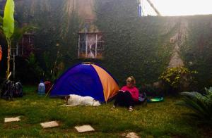 Κήπος έξω από το First Point Arusha Hostel