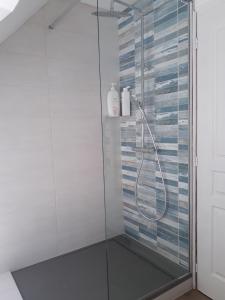 BrechにあるHAVRE DE PAIX à BREC'Hのバスルーム(ガラスドア付きのシャワー付)