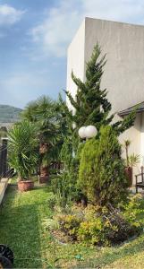 Zahrada ubytování Flat Deluxe Gramado