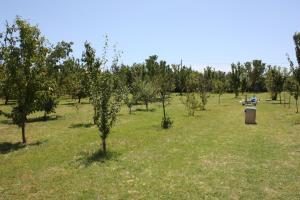 A garden outside Tuscan Dream Casa Vacanze