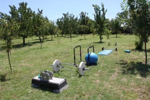 A garden outside Tuscan Dream Casa Vacanze