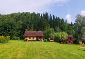 Příroda nedaleko prázdninového domu