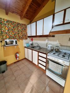 une cuisine avec une cuisinière et un micro-ondes dans l'établissement Calisto casa, por los caminos del vino, Mendoza, à Luján de Cuyo