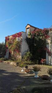 un bâtiment avec des fleurs sur son côté dans l'établissement La casa nel bosco, à Tortorella