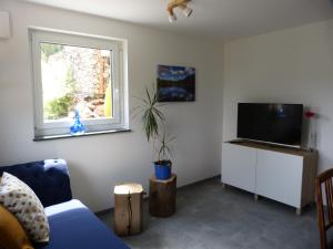 a living room with a blue couch and a television at Ferienwohnung am Hirtenpfad in Lenzkirch