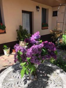 a vase filled with purple flowers on a table at Milla Apartman in Szentendre