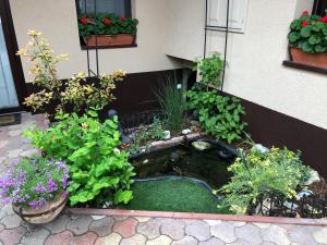 a garden with a pond with plants and flowers at Milla Apartman in Szentendre