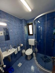 uma casa de banho com um WC, um lavatório e um chuveiro em Casa Haiducilor em Predeal