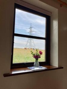 a window with a vase of flowers on a table at Brecks Cottage in Newark upon Trent