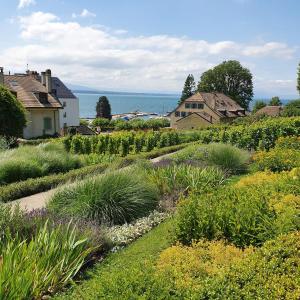 ニヨンにあるAppartement Entre Monts et Lac court et moyen séjourの丘の上に植花の庭園