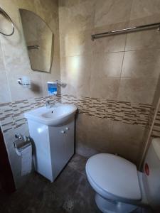 サパレヴァ・バニャにあるВила 111のバスルーム(トイレ、洗面台、鏡付)