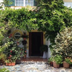 une entrée à une maison avec une bande de plantes dans l'établissement A Casa do Lagar, à Azeitão