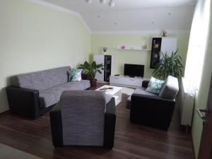 - un salon avec un canapé et une table dans l'établissement Apartman Karmen Gospić, à Gospić