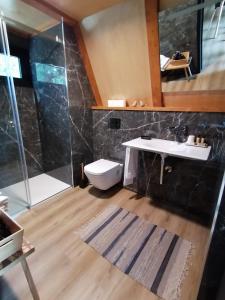 y baño con aseo, lavabo y ducha. en Carvalhal Redondo - Farm House en Castelo Novo