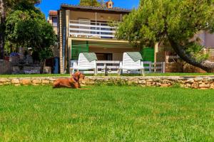 a brown dog laying in the grass next to chairs at Al Mare Apartments in Rovinj