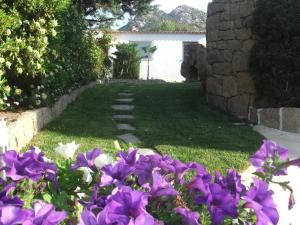 un jardín con flores púrpuras en la hierba en Residenza Nialiccia en Abbiadori