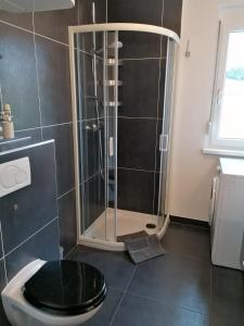 a bathroom with a shower with a black toilet at Ferienhaus EOS in der "Steirischen Toskana" Straden in Straden