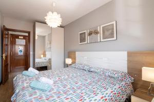 レオンにあるApartamento Caño Badillo - Plaza Mayor - leonapartamentosのベッドルーム(青い枕の大型ベッド1台付)