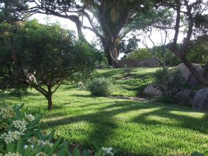 um jardim com árvores e relva verde e rochas em Residenza Nialiccia em Abbiadori