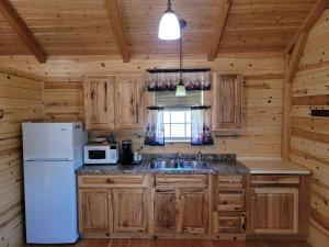a kitchen with a refrigerator and a sink in a cabin at Alpine Lodge in Red Lodge