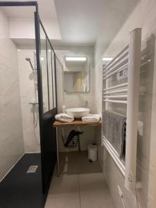 a bathroom with a sink and a mirror and a sink at Sweet Discovery & Jungle in Bourges +36 photos