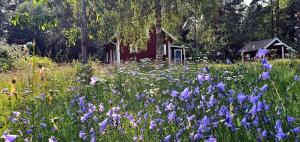 Zahrada ubytování Lidsbergs torp i Ölme från år 1910 Ett eget mysigt torp med kakelugn, lågt i tak, sovrum med dubbelsäng och 2 enkelsängar på loft med snedtak bäddsoffa i v-rum trädgård med gasgrill